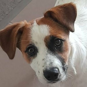 Meet your Posher, Alicia